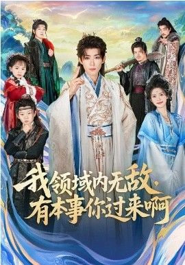 我领域内无敌，有本事你过来啊封面