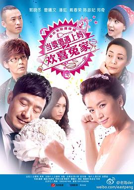 当婆婆遇上妈之欢喜冤家封面