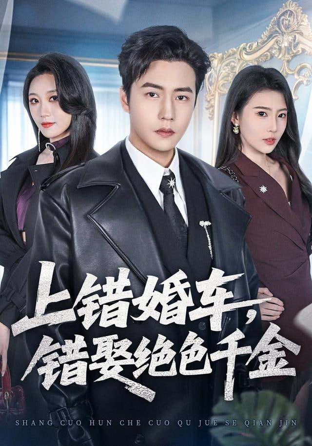 上错婚车，错娶绝色千金封面