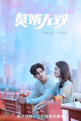 赘婿无双封面