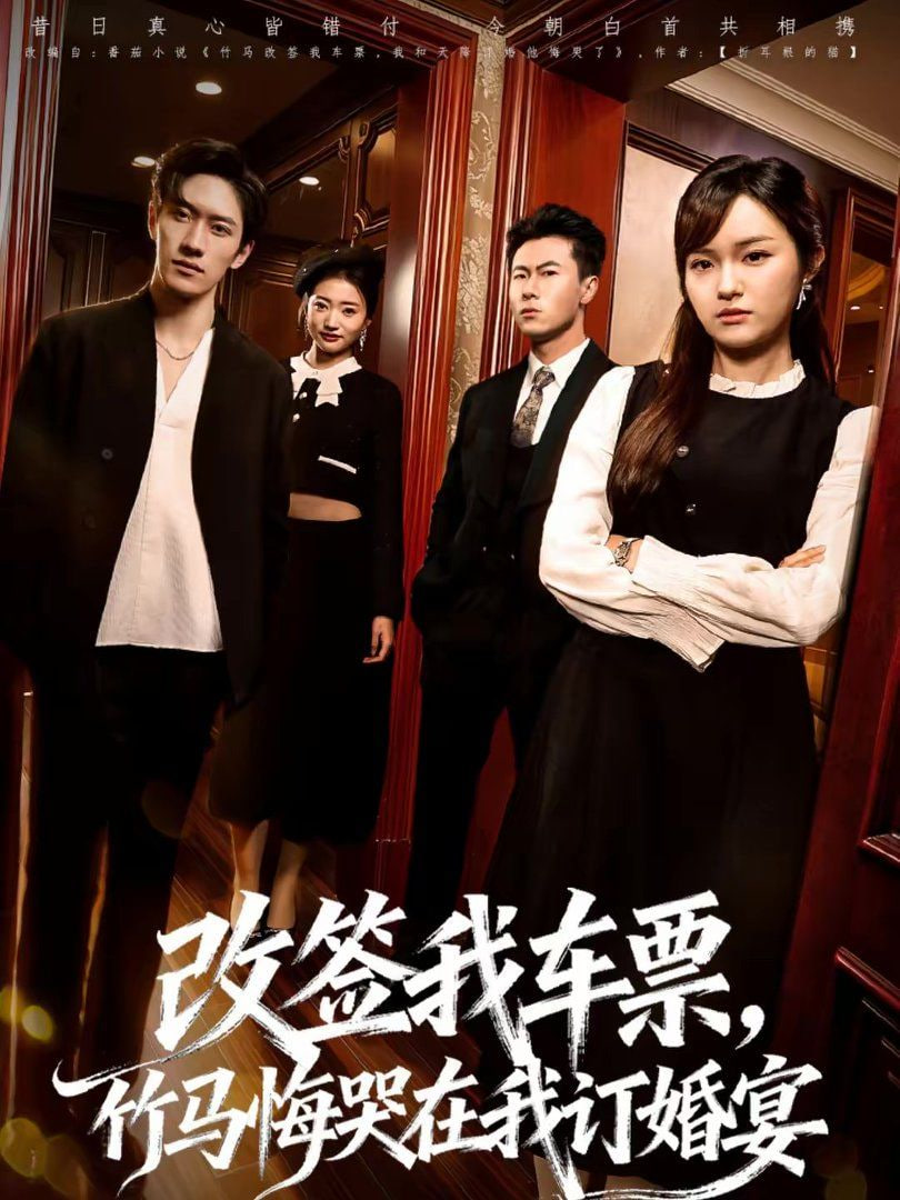 改签我车票，竹马悔哭在我订婚宴封面