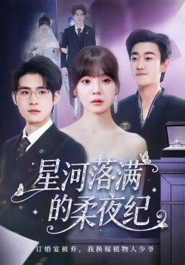 星河落满的柔夜纪封面
