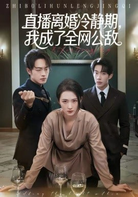 直播离婚冷静期，我成了全网公敌封面