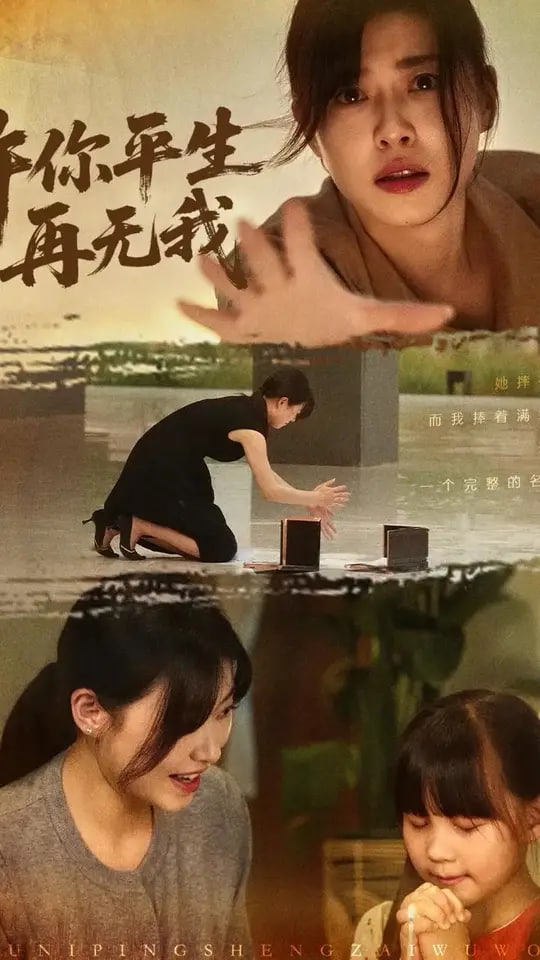 许你平生再无我封面