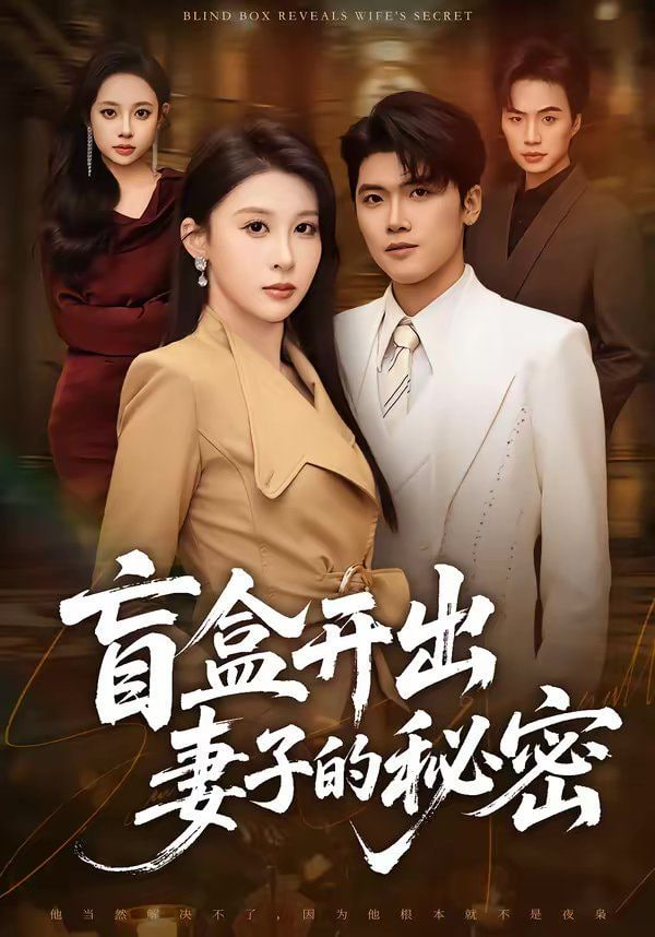 盲盒开出妻子的秘密封面