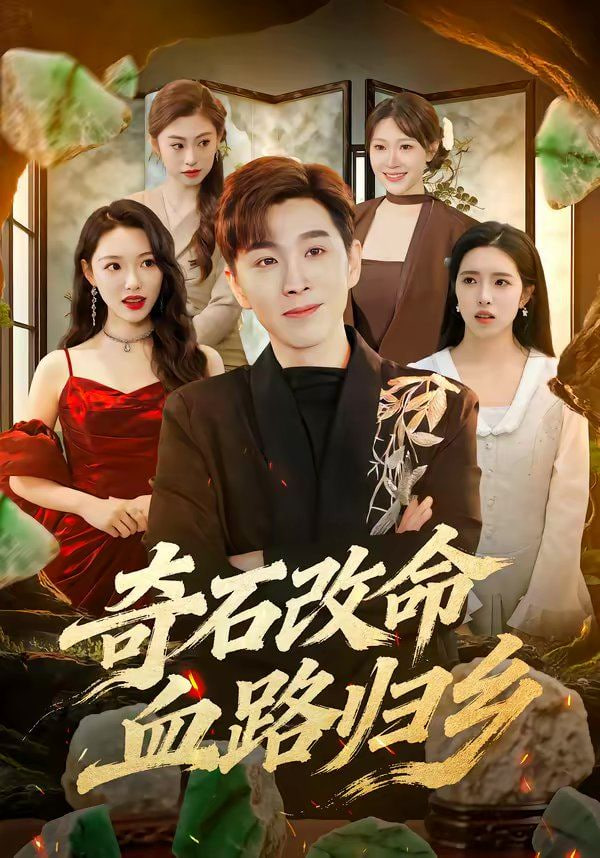 奇石改命血路归乡封面