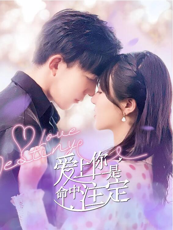 爱上你是命中注定封面