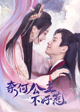 奈何公主不好惹封面