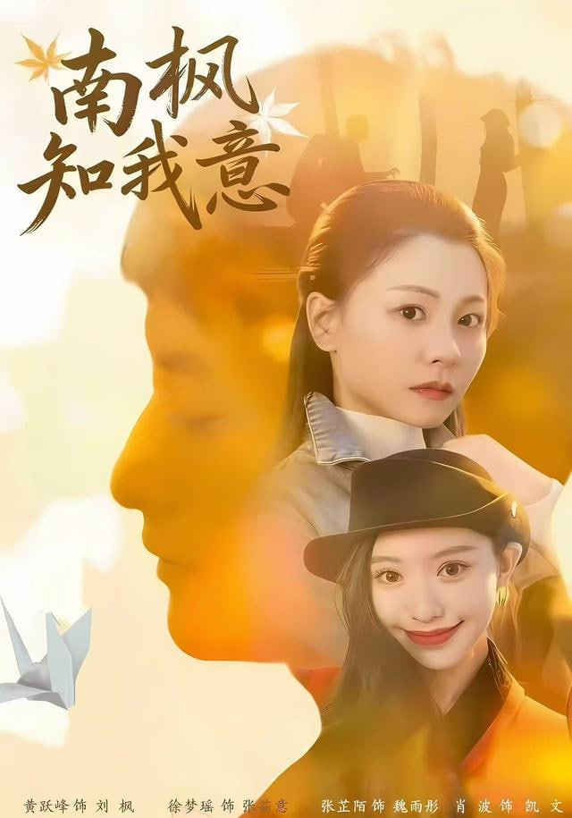南枫知我意封面