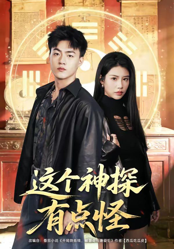 这个神探有点怪封面