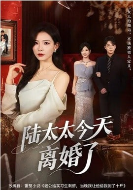 陆太太今天离婚了封面