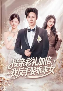 接亲彩礼加倍，我反手娶乖乖女封面