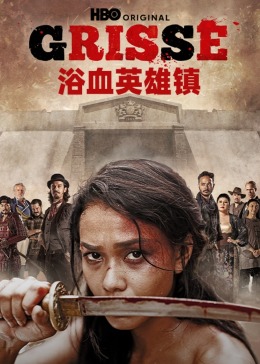浴血英雄镇封面