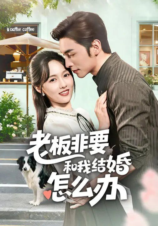 老板非要和我结婚怎么办封面