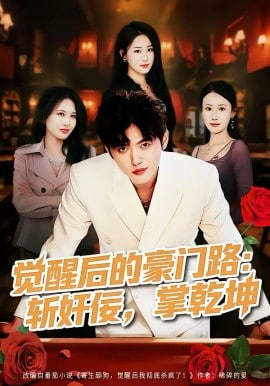 觉醒后的豪门路：斩奸佞掌乾坤封面