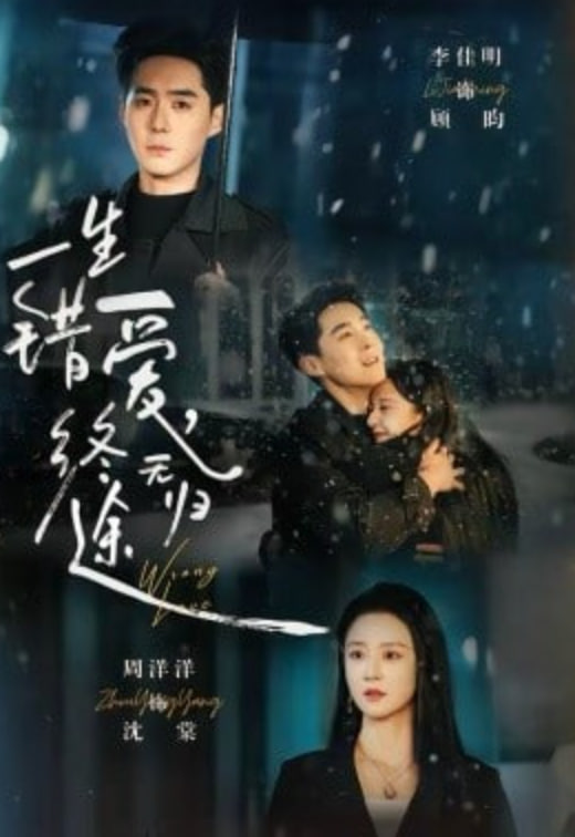 一生错爱，终无归途封面
