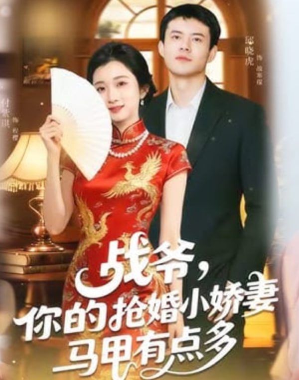 战爷，你的抢婚小娇妻马甲有点多封面