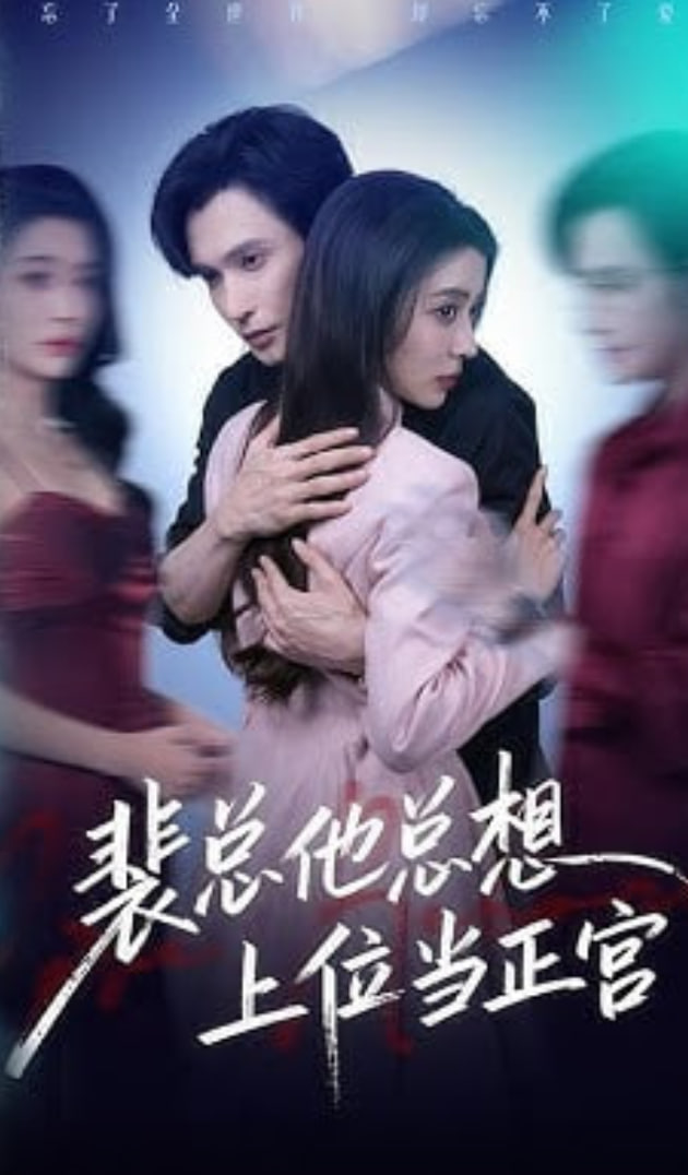 裴总他总上位当正宫封面