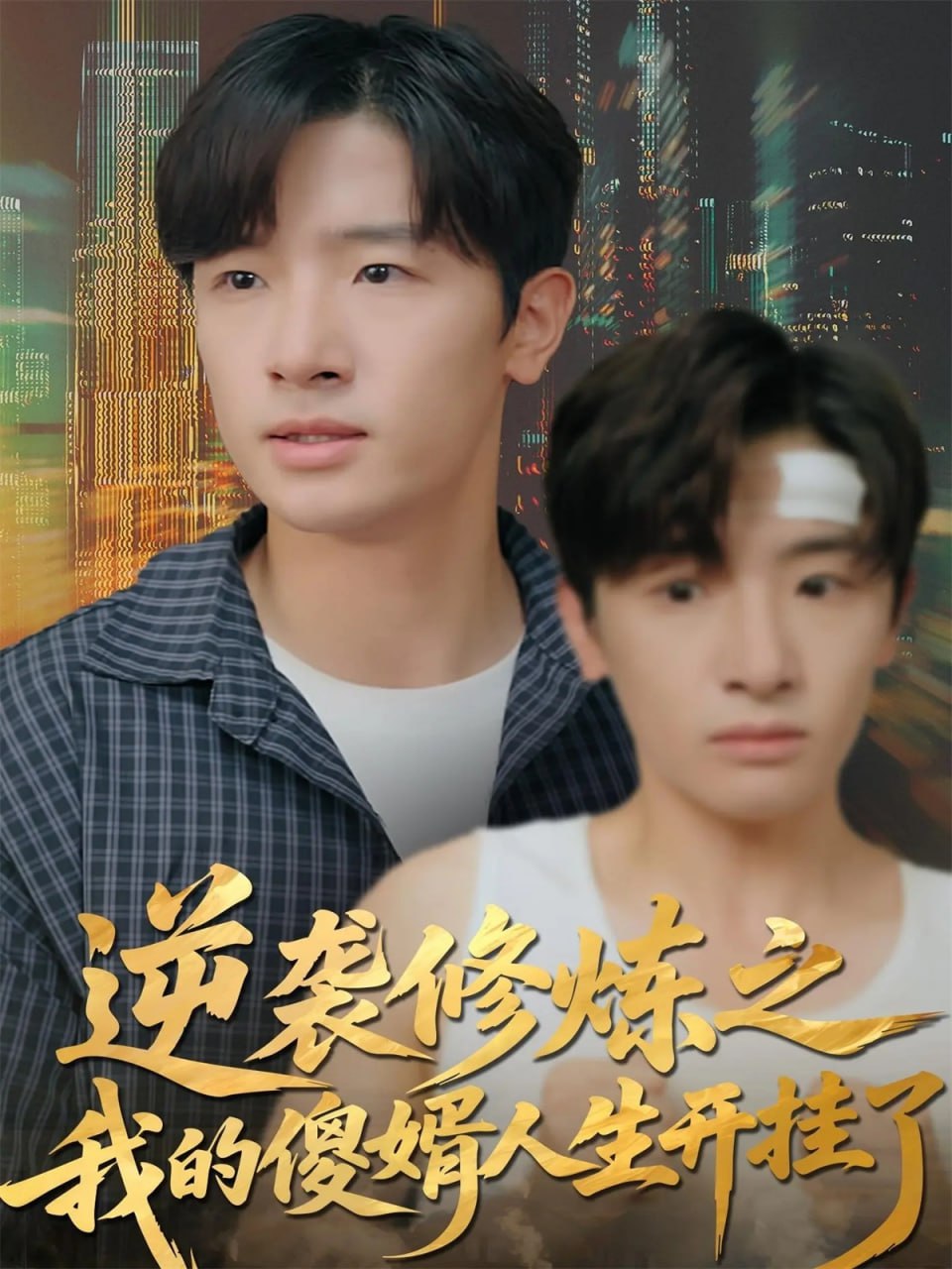 逆袭修炼之我的傻婿人生开挂了封面
