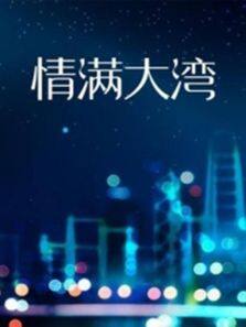 情满大湾封面