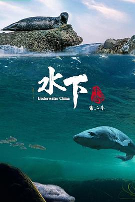 水下中国 第二季封面