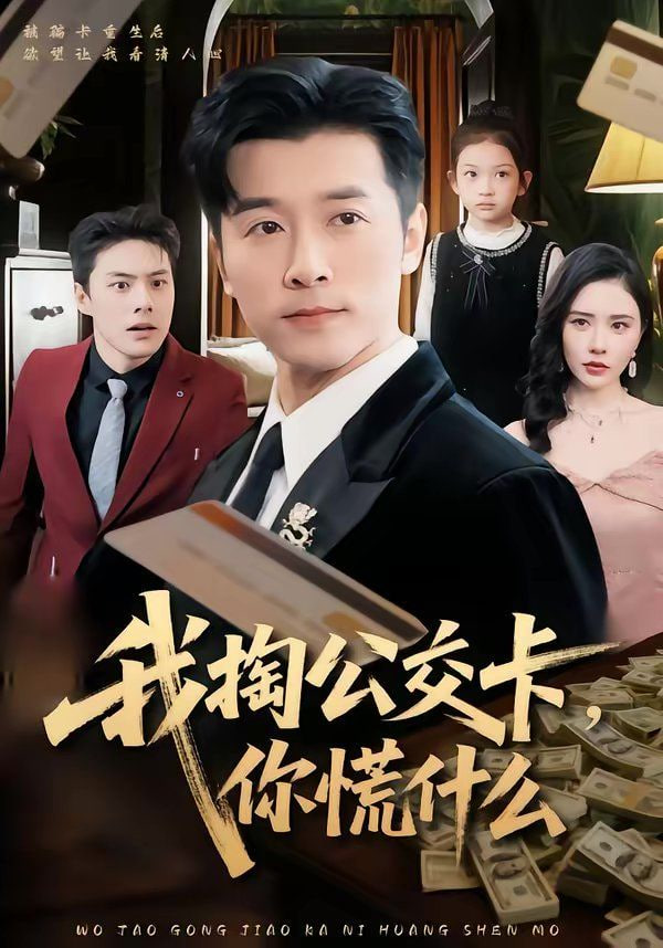 我掏公交卡，你慌什么封面
