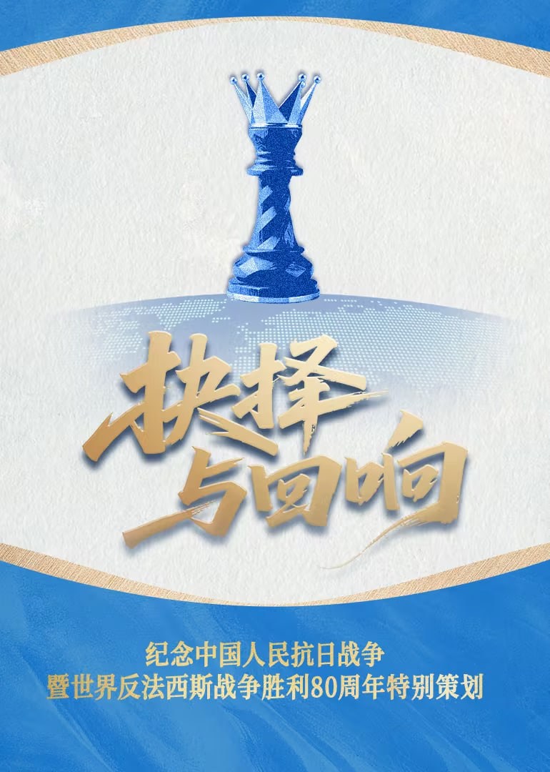 抉择与回响封面