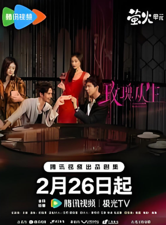 阴影中的爱封面