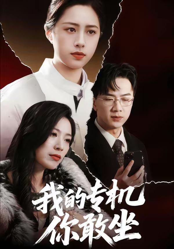 我的专机你敢坐封面