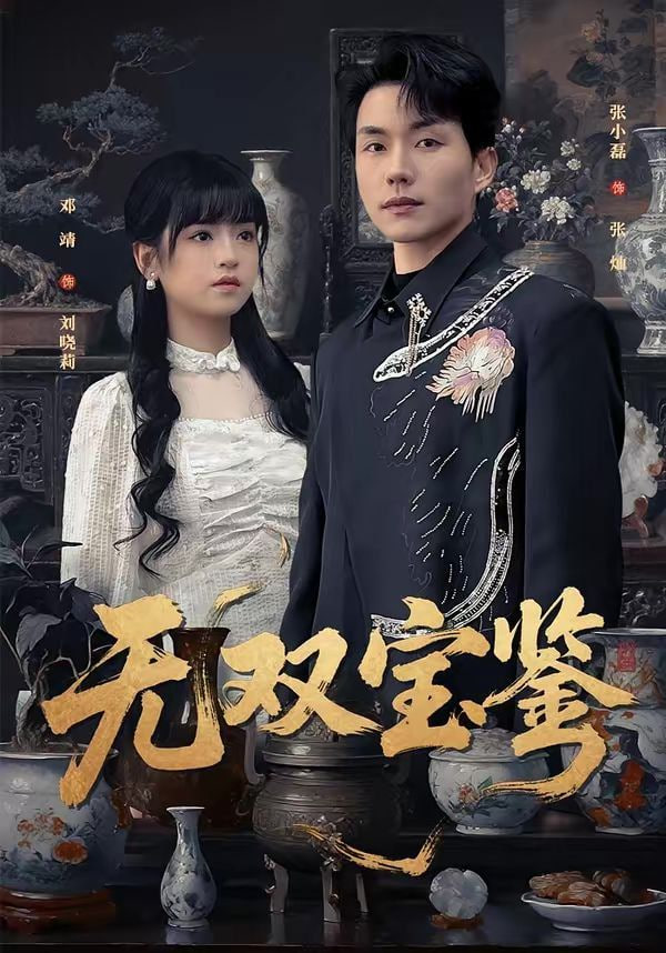 无双宝鉴封面