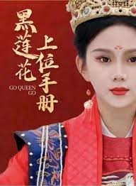 黑莲花上位手册封面