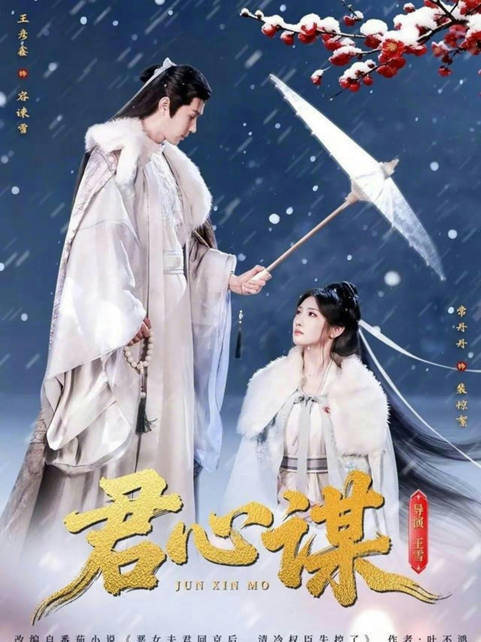 君心谋封面