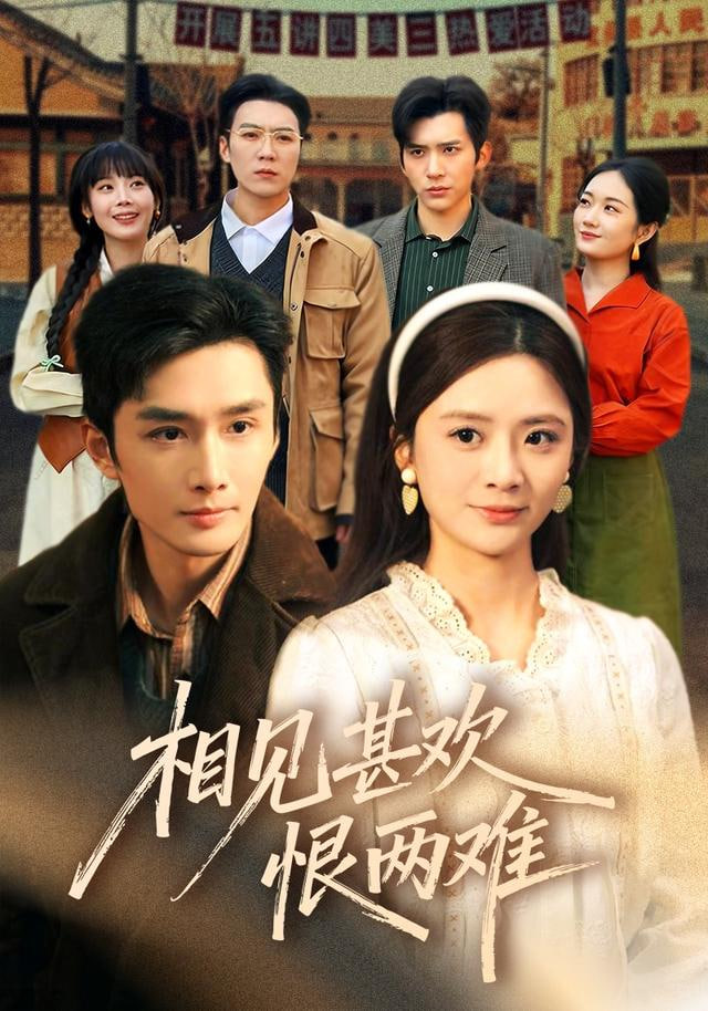 相见甚欢恨两难封面