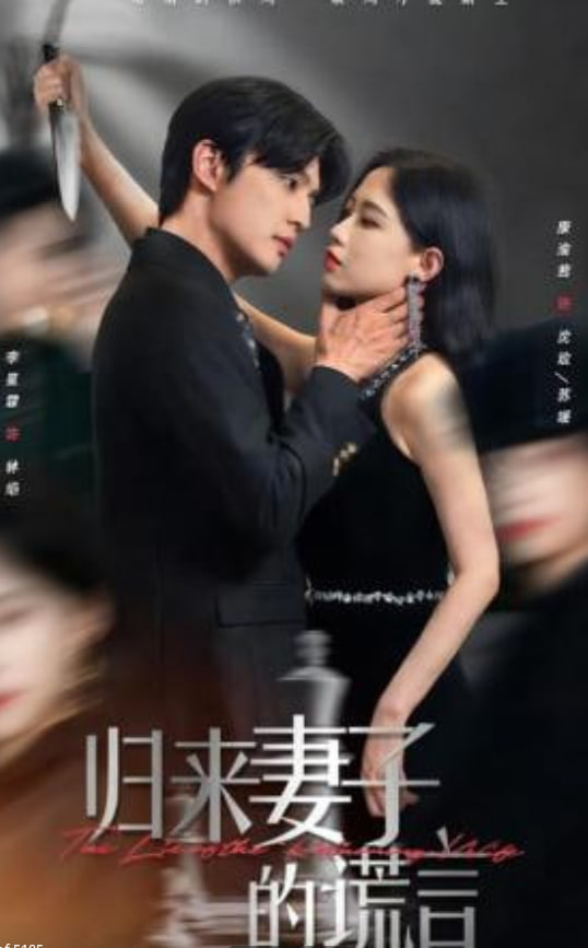 归来妻子的谎言封面