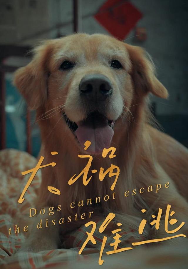 犬祸难逃封面