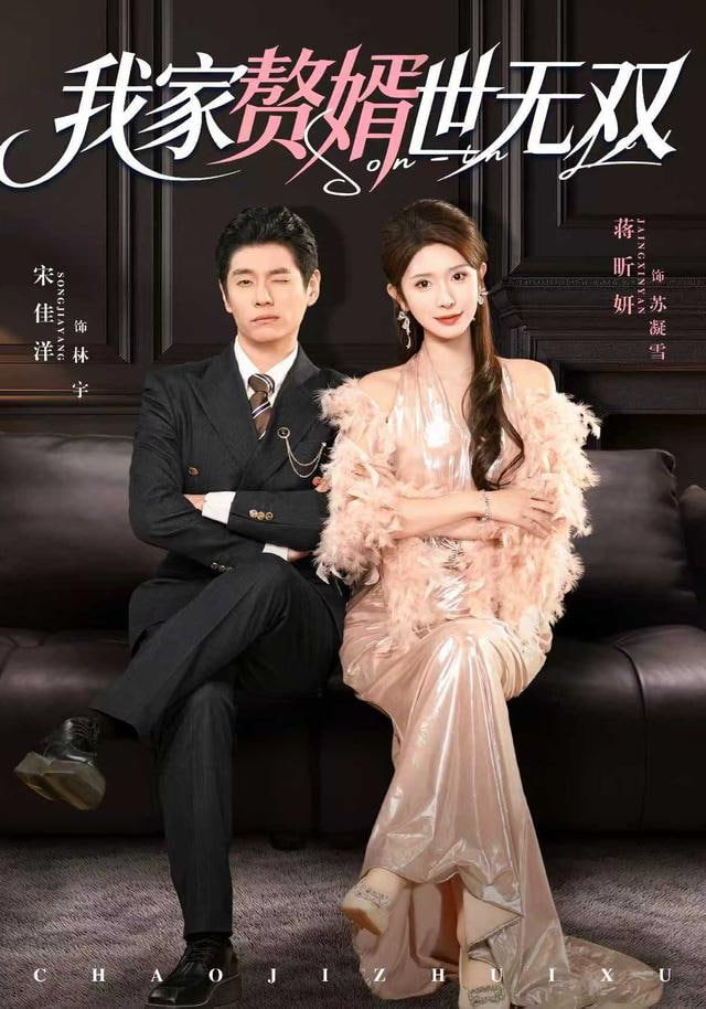 我家赘婿世无双封面