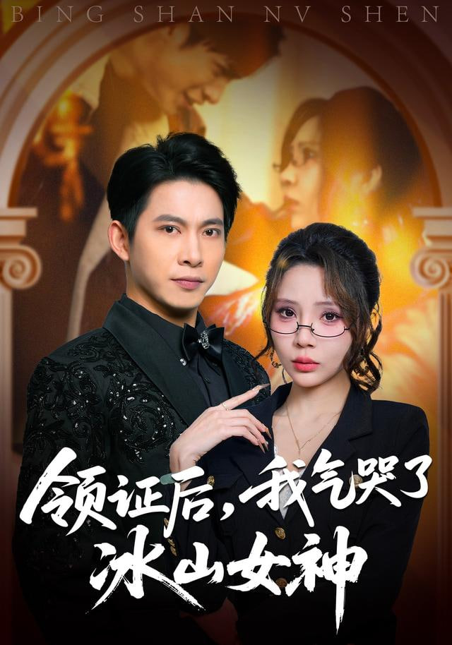 领证后，我气哭了冰山女神封面
