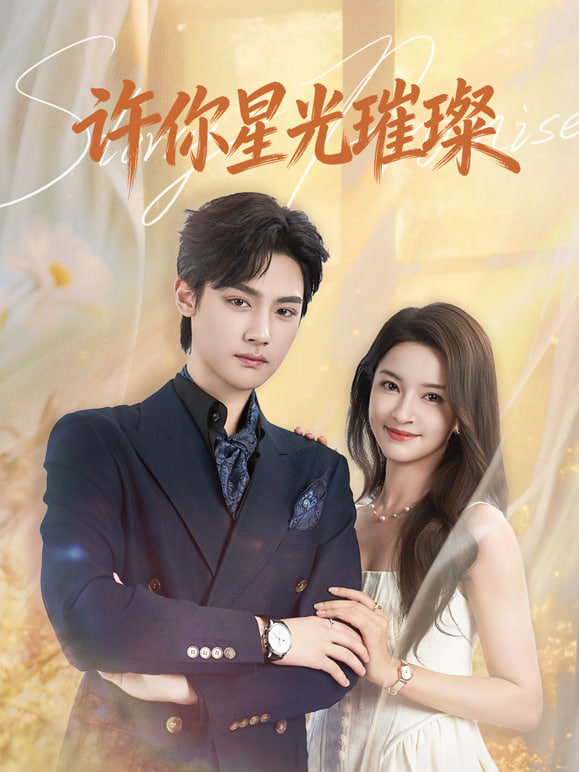 许你星光璀璨封面