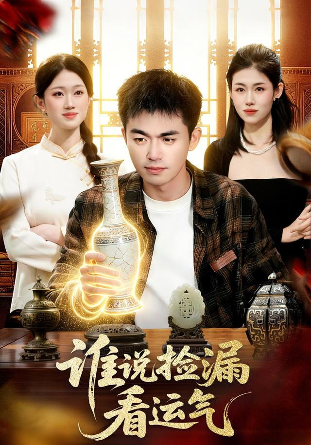 谁说捡漏看运气封面