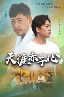 天涯赤子心封面