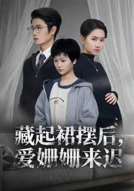 藏起裙摆后，爱姗姗来迟封面