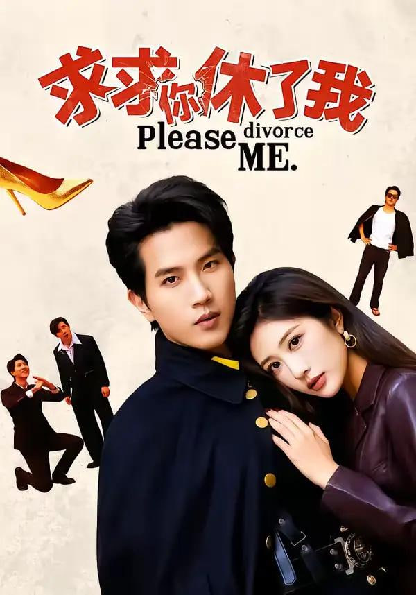 求求你休了我封面
