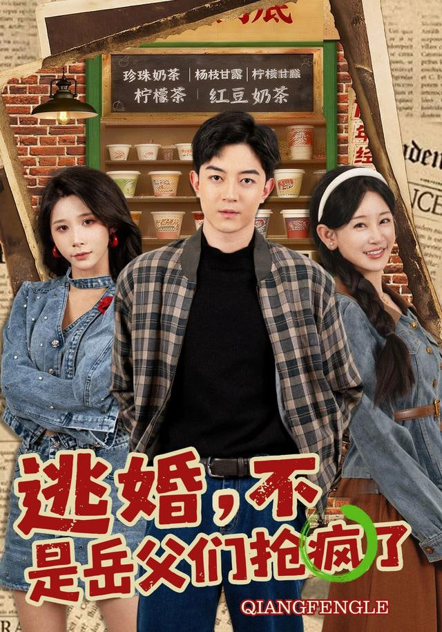 逃婚，不，是岳父们抢疯了封面