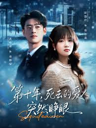 第十年，死去的爱人突然睁眼封面