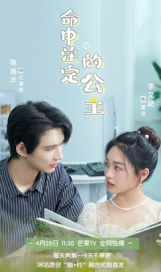 命中注定的公主封面