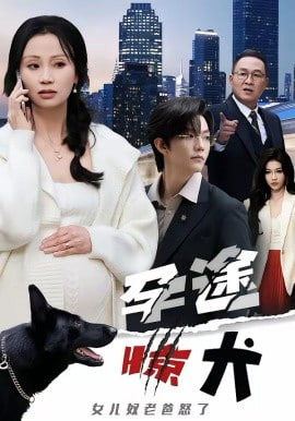 孕途惊犬，女儿奴老爸怒了封面