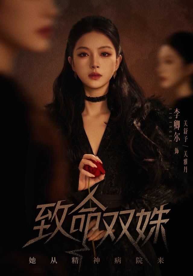 致命双姝：她从精神病院来封面
