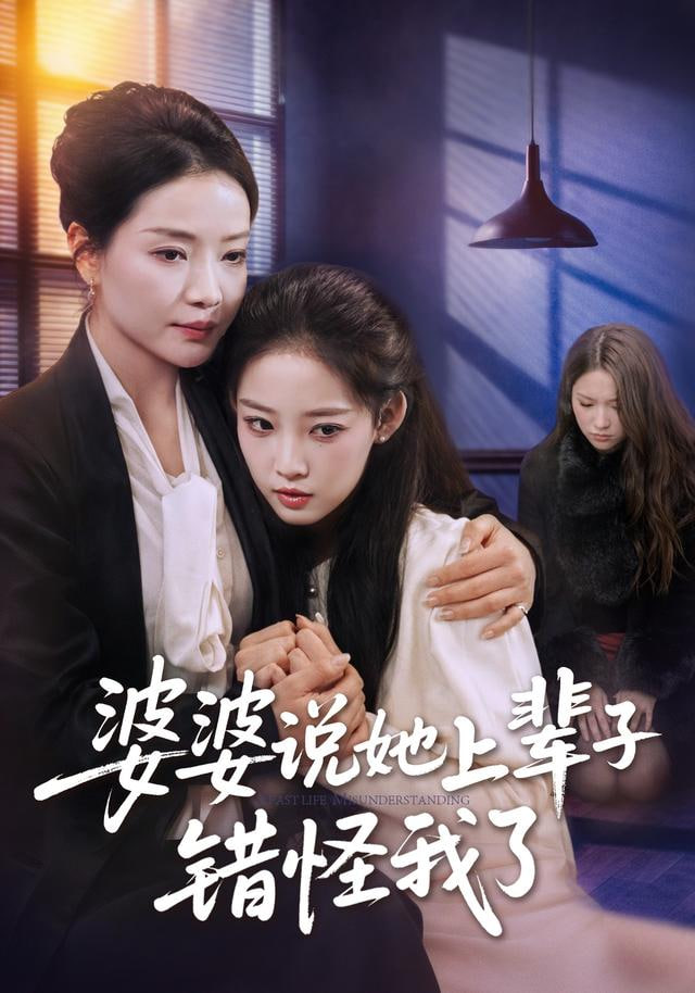 婆婆说她上辈子错怪我了封面