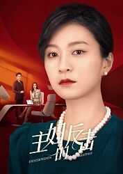 主妇的反击封面