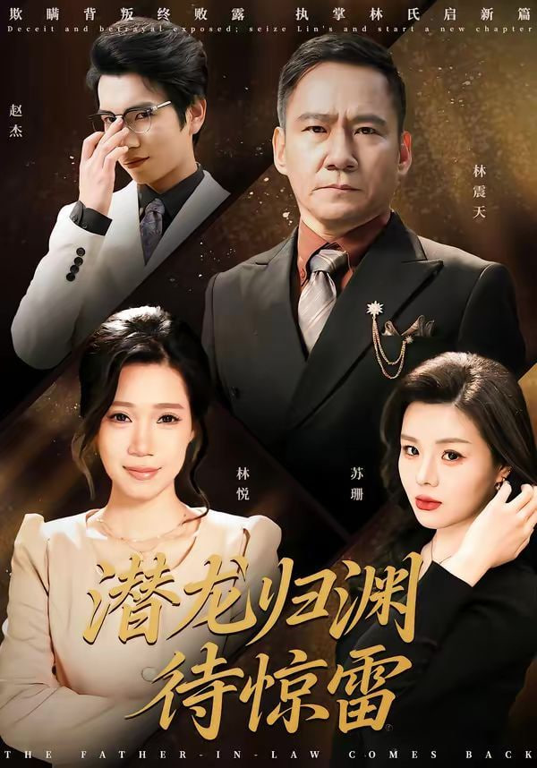 潜龙归渊待惊雷封面